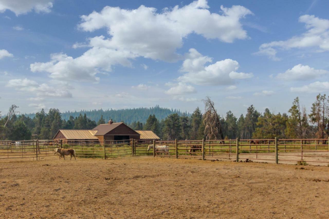 Circle 4 Ranch 25 | Discover Санривер Экстерьер фото